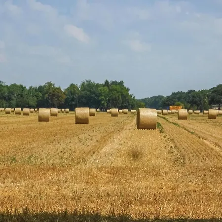 Gorgeous In Luebtheengarlitz アパート